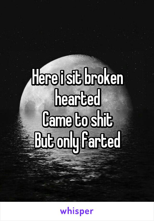 Here i sit broken hearted
Came to shit
But only farted