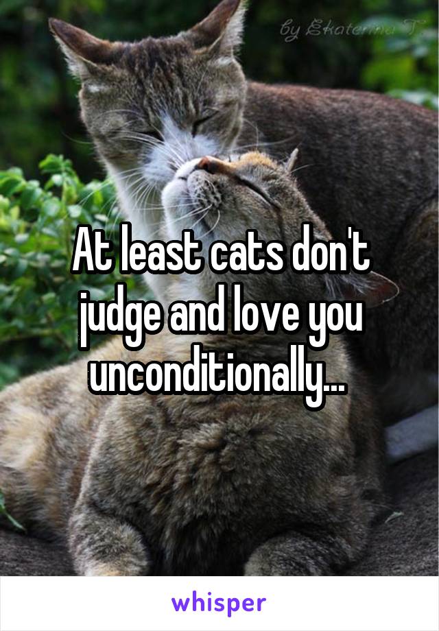 At least cats don't judge and love you unconditionally... 