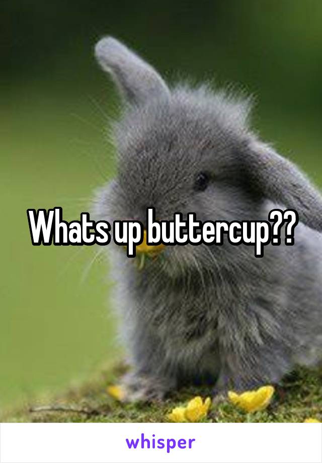 Whats up buttercup??