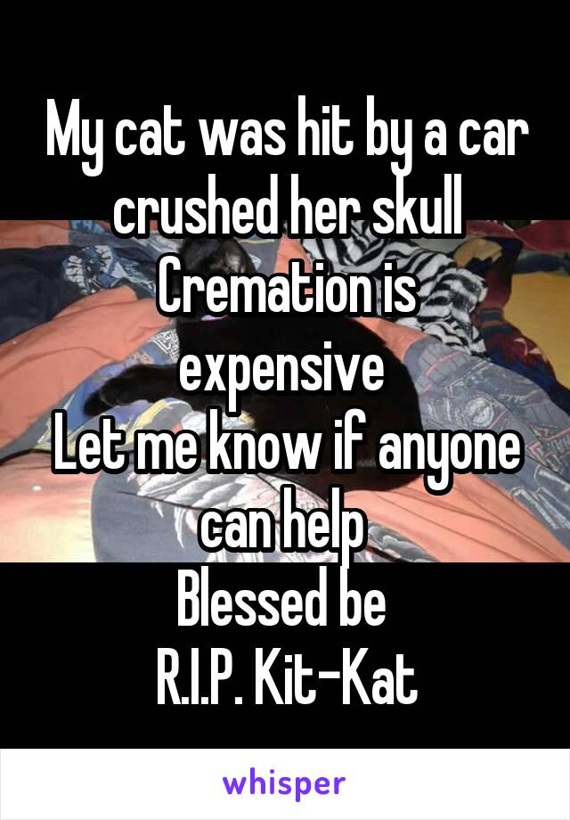 My cat was hit by a car crushed her skull
Cremation is expensive 
Let me know if anyone can help 
Blessed be 
R.I.P. Kit-Kat