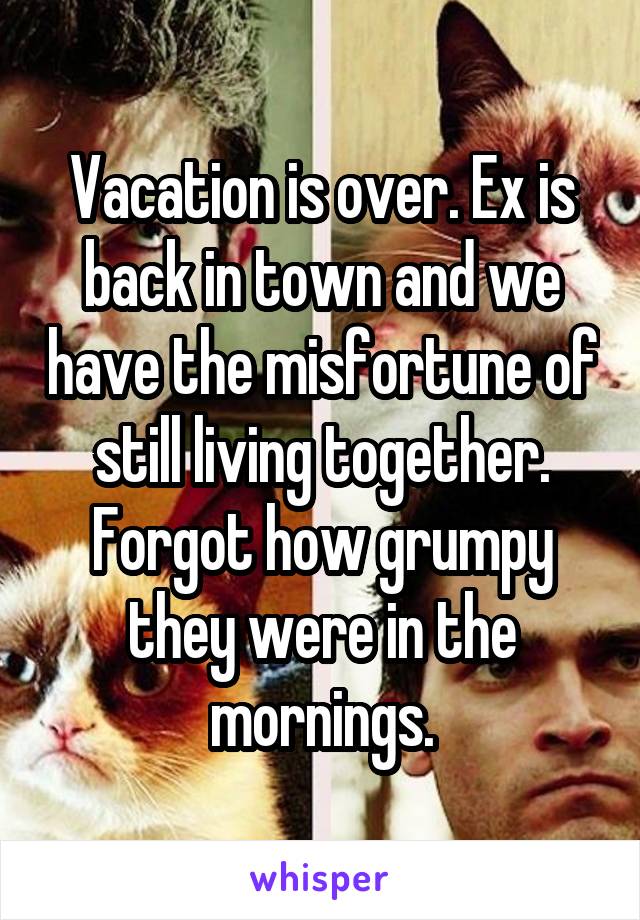 Vacation is over. Ex is back in town and we have the misfortune of still living together. Forgot how grumpy they were in the mornings.