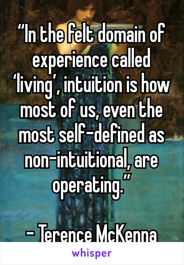 “In the felt domain of experience called ‘living’, intuition is how most of us, even the most self-defined as non-intuitional, are operating.”

- Terence McKenna