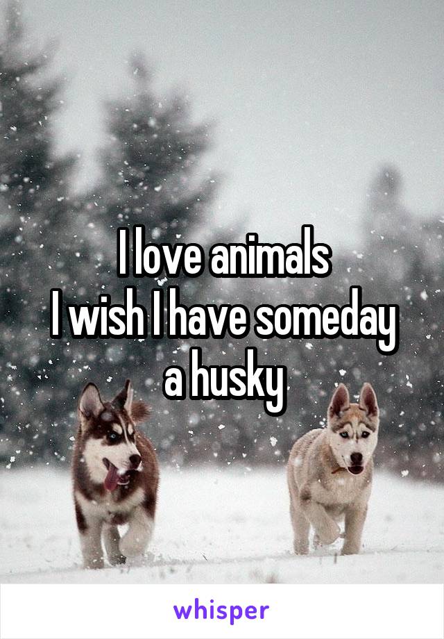 I love animals
I wish I have someday a husky