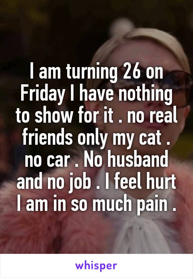 I am turning 26 on Friday I have nothing to show for it . no real friends only my cat . no car . No husband and no job . I feel hurt I am in so much pain .