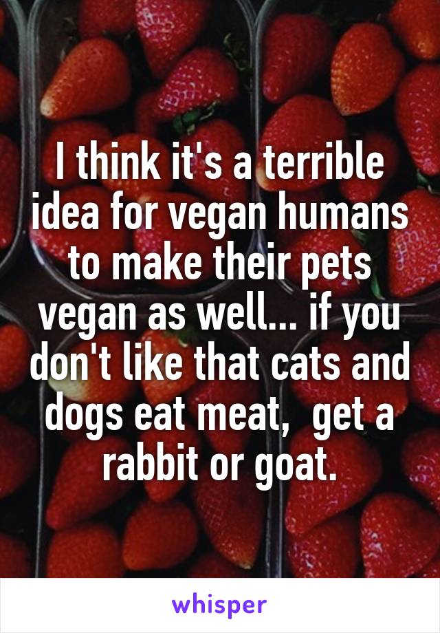 I think it's a terrible idea for vegan humans to make their pets vegan as well... if you don't like that cats and dogs eat meat,  get a rabbit or goat.