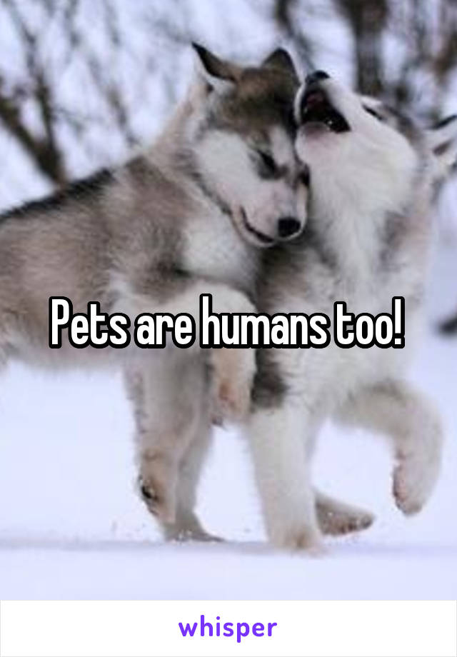 Pets are humans too! 