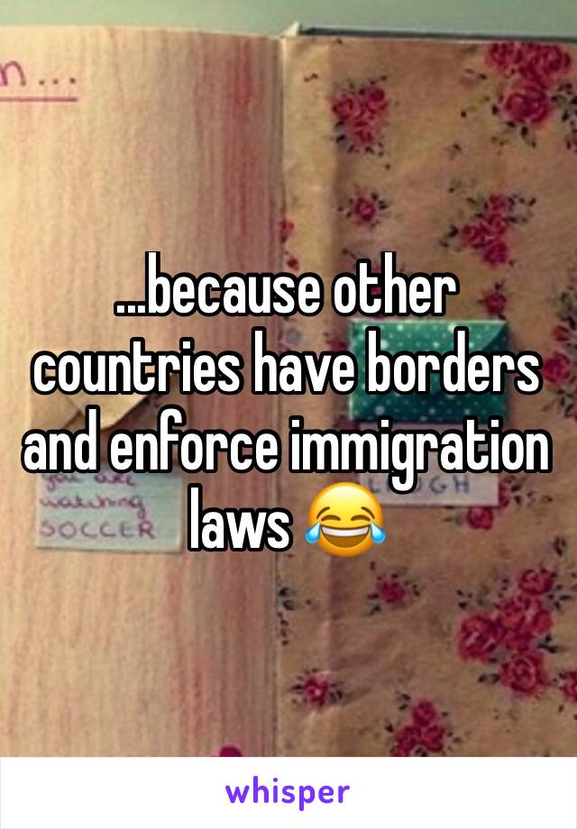 ...because other countries have borders and enforce immigration laws 😂