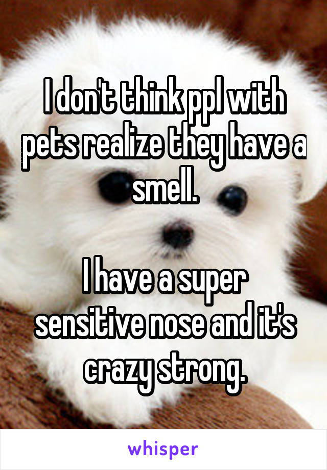 I don't think ppl with pets realize they have a smell.

I have a super sensitive nose and it's crazy strong.