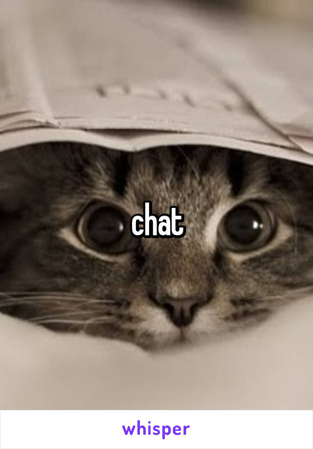 chat