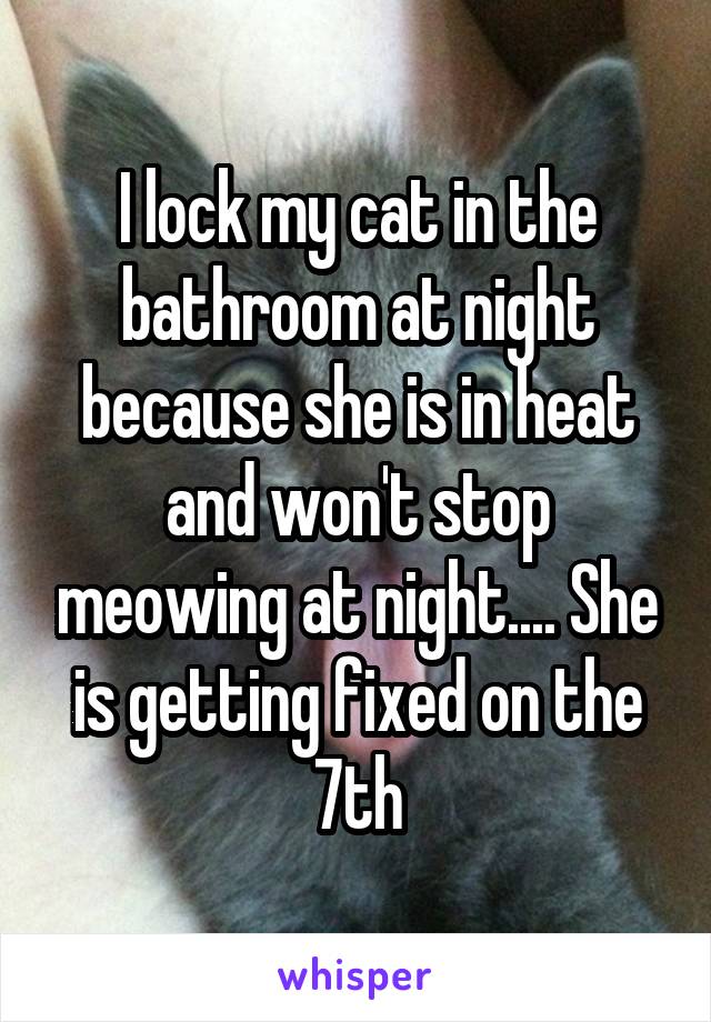 I lock my cat in the bathroom at night because she is in heat and won't stop meowing at night.... She is getting fixed on the 7th