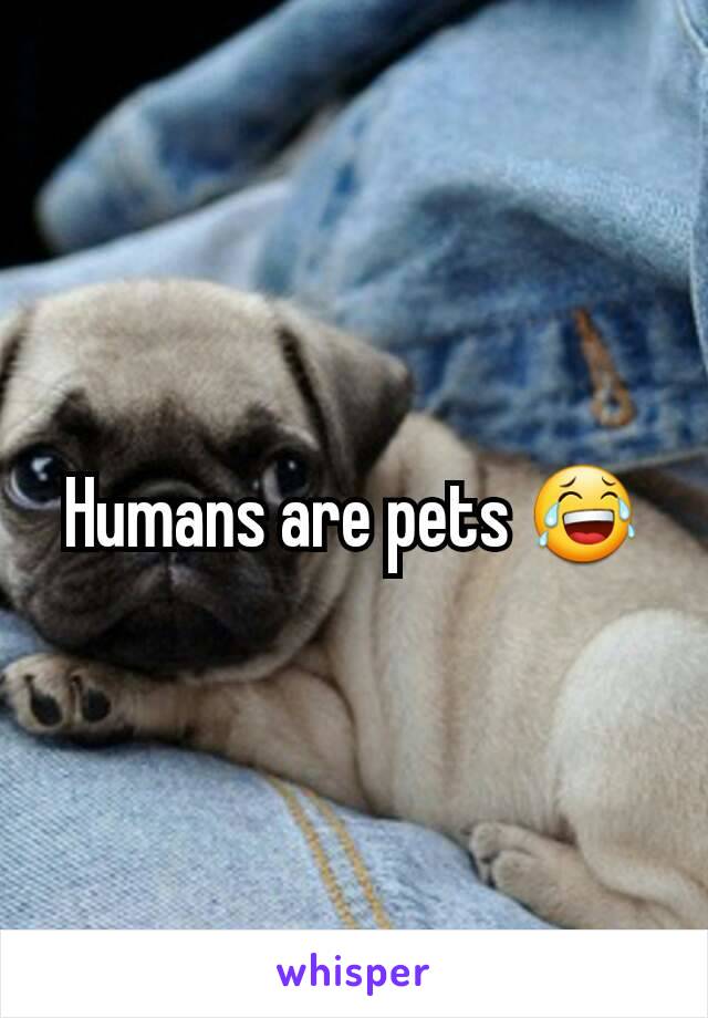 Humans are pets 😂