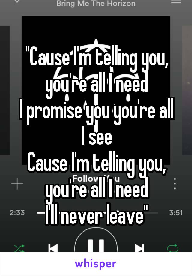 "Cause I'm telling you, you're all I need
I promise you you're all I see
Cause I'm telling you, you're all I need
I'll never leave"