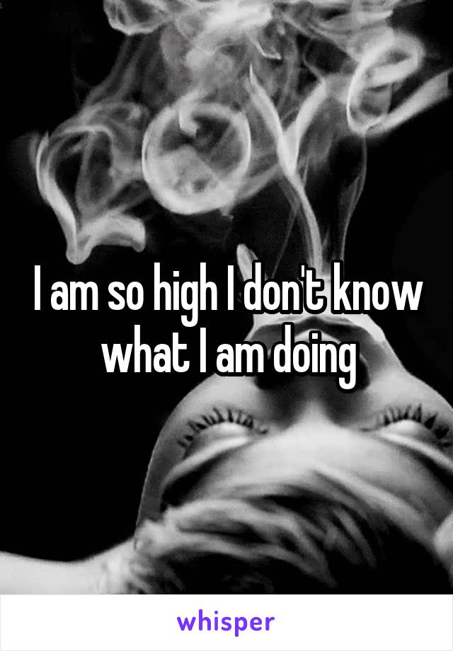 I am so high I don't know what I am doing