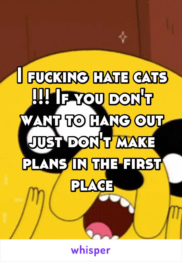 I fucking hate cats !!! If you don't want to hang out just don't make plans in the first place