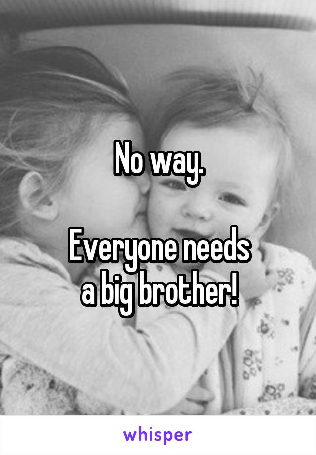 No way.

Everyone needs
a big brother!