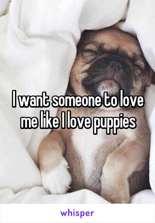 I want someone to love me like I love puppies