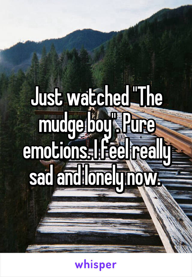 Just watched "The mudge boy". Pure emotions. I feel really sad and lonely now. 