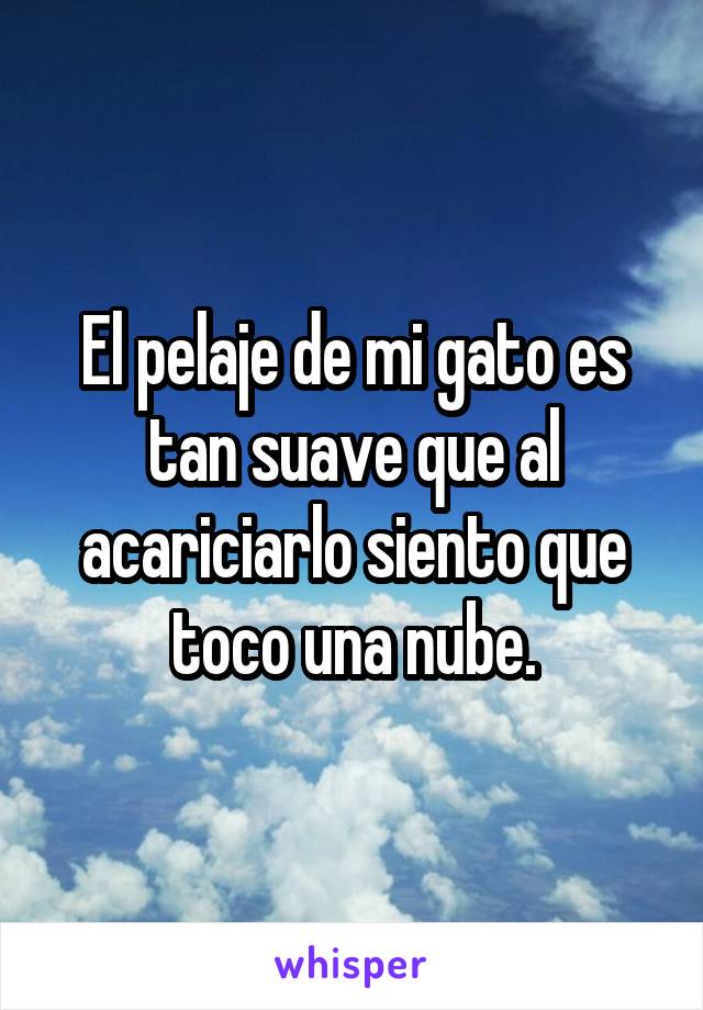 El pelaje de mi gato es tan suave que al acariciarlo siento que toco una nube.