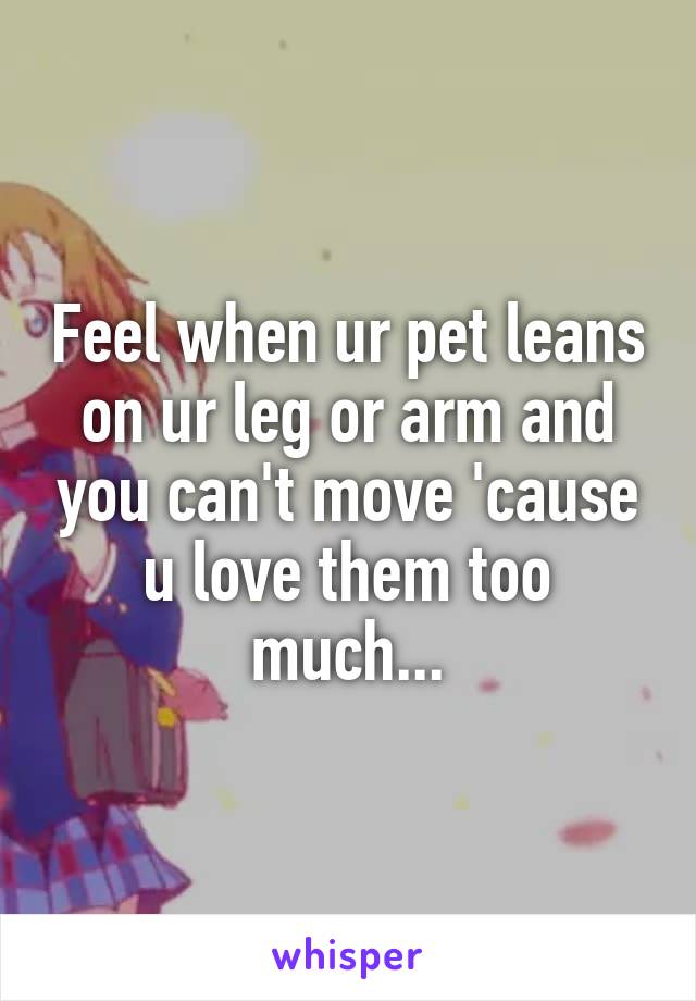 Feel when ur pet leans on ur leg or arm and you can't move 'cause u love them too much...