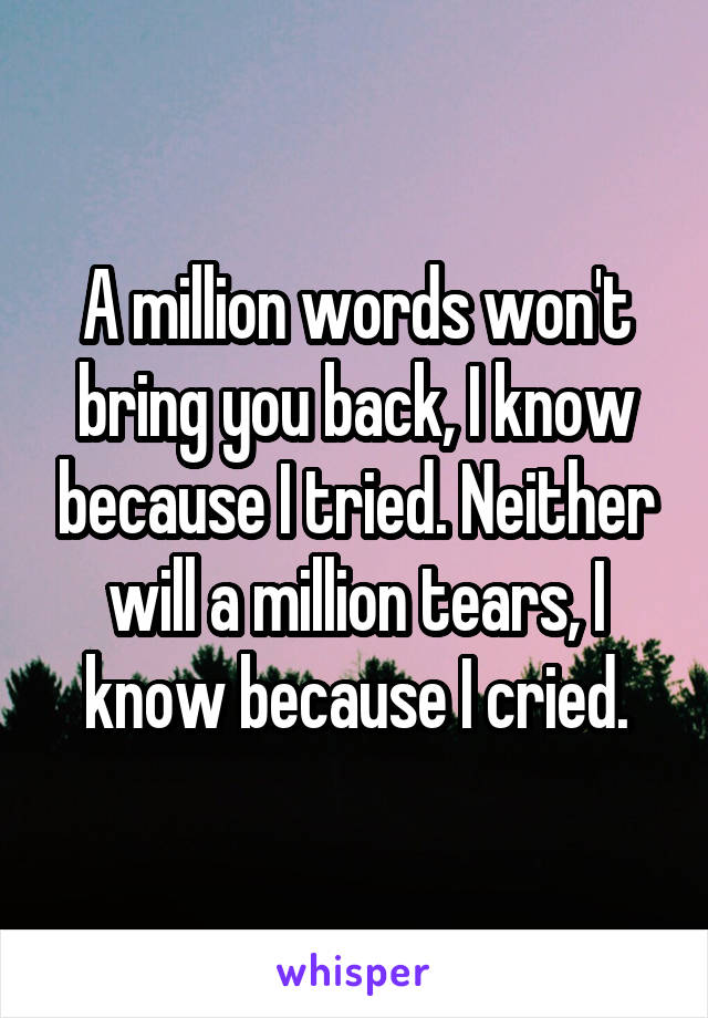 A million words won't bring you back, I know because I tried. Neither will a million tears, I know because I cried.