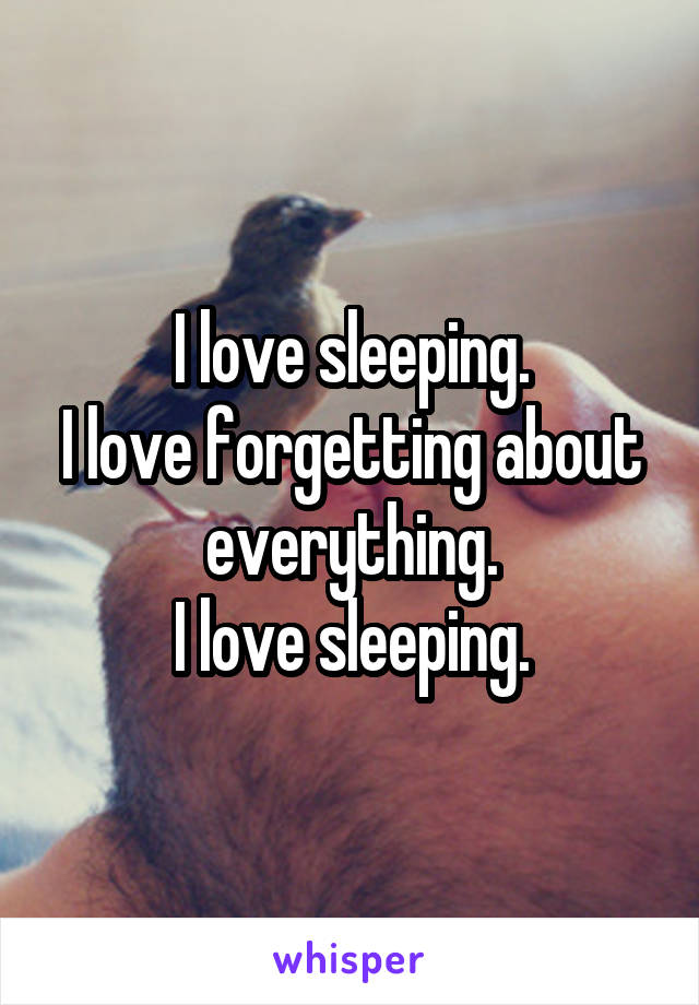 I love sleeping.
I love forgetting about everything.
I love sleeping.