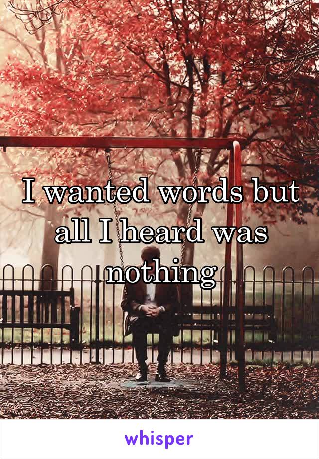 I wanted words but all I heard was nothing