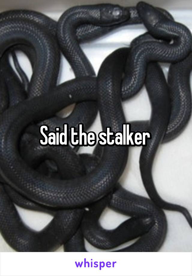 Said the stalker 