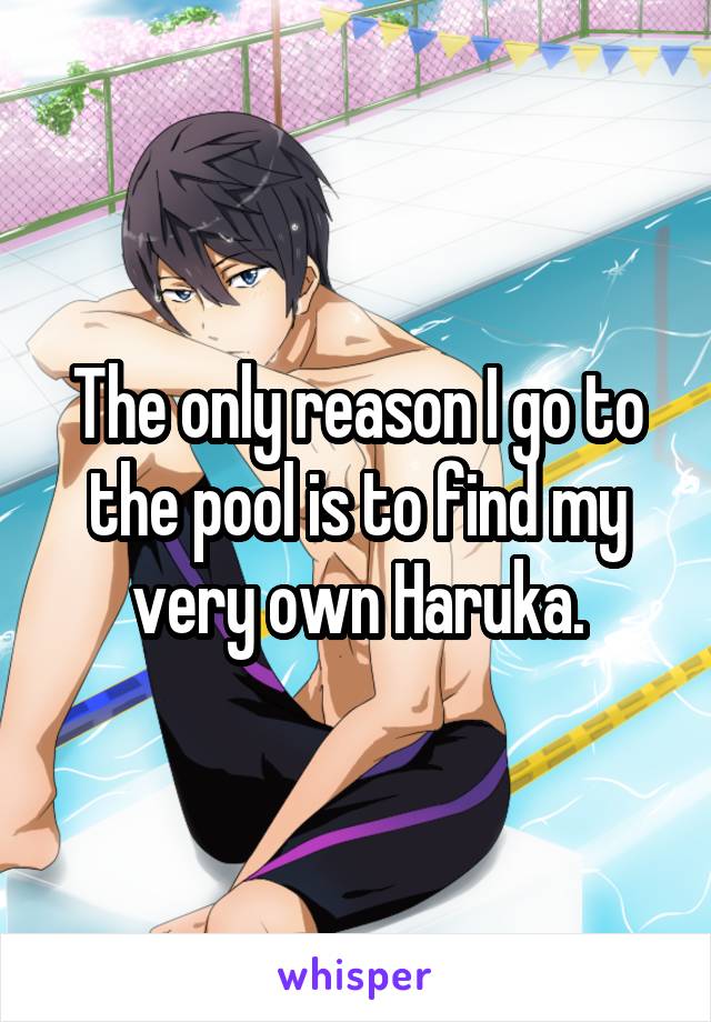 The only reason I go to the pool is to find my very own Haruka.