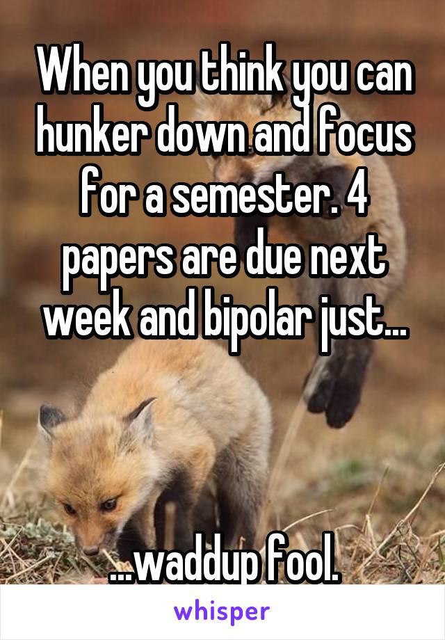 When you think you can hunker down and focus for a semester. 4 papers are due next week and bipolar just...



...waddup fool.