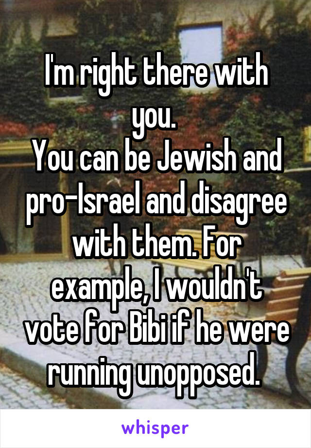 I'm right there with you. 
You can be Jewish and pro-Israel and disagree with them. For example, I wouldn't vote for Bibi if he were running unopposed. 