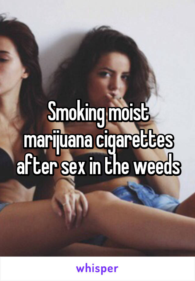 Smoking moist marijuana cigarettes after sex in the weeds