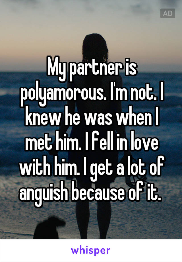 My partner is polyamorous. I'm not. I knew he was when I met him. I fell in love with him. I get a lot of anguish because of it. 