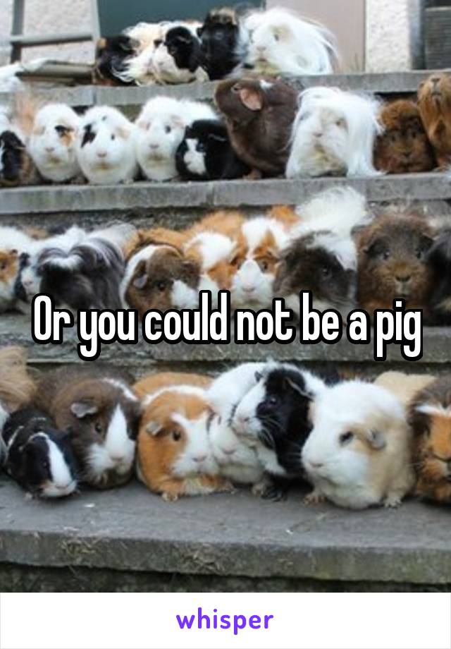 Or you could not be a pig