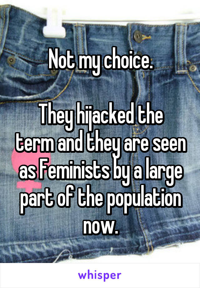 Not my choice.

They hijacked the term and they are seen as Feminists by a large part of the population now.