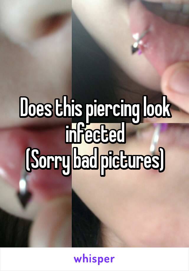 Does this piercing look infected
(Sorry bad pictures)