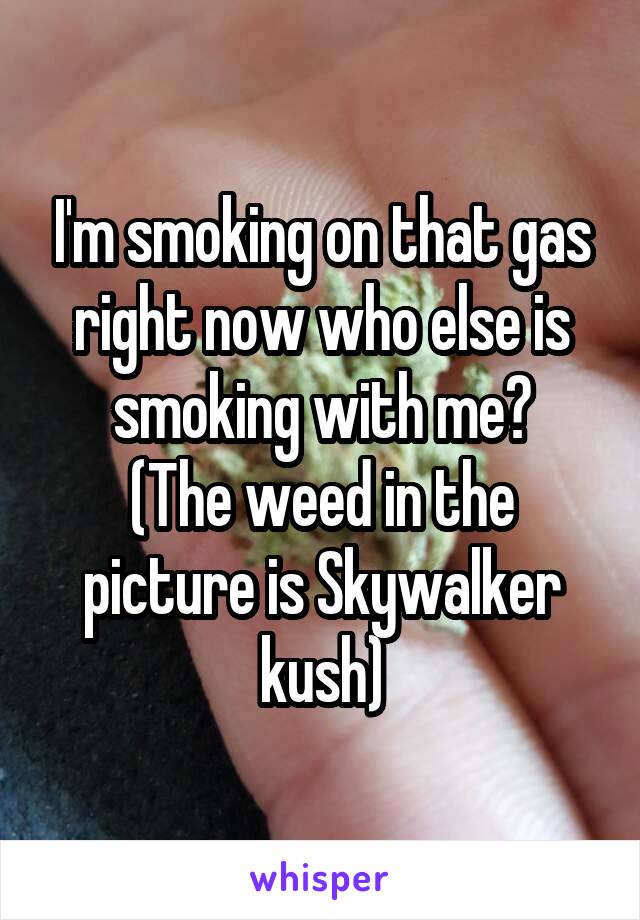 I'm smoking on that gas right now who else is smoking with me?
(The weed in the picture is Skywalker kush)