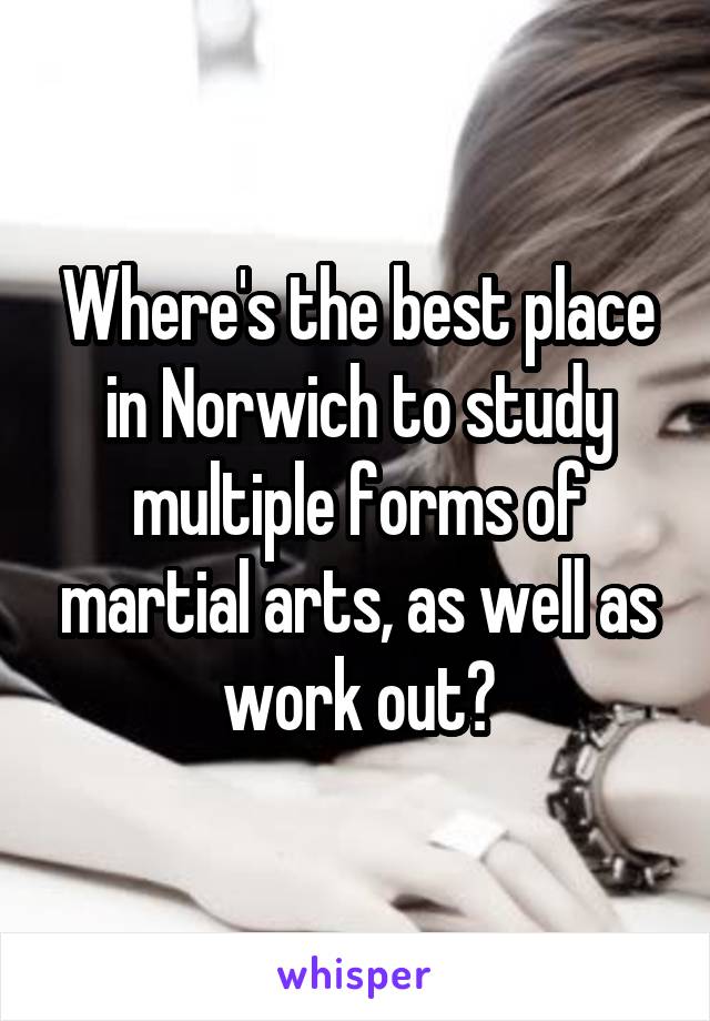 Where's the best place in Norwich to study multiple forms of martial arts, as well as work out?