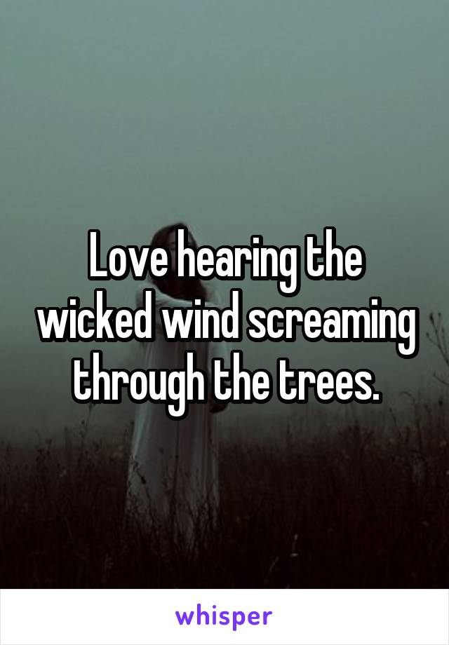 Love hearing the wicked wind screaming through the trees.