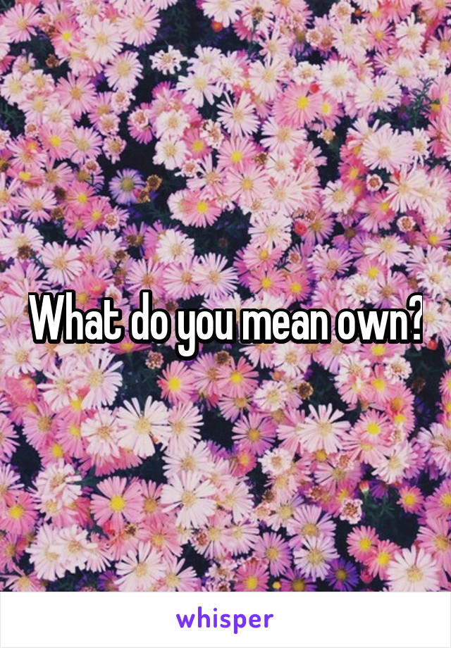 What do you mean own?