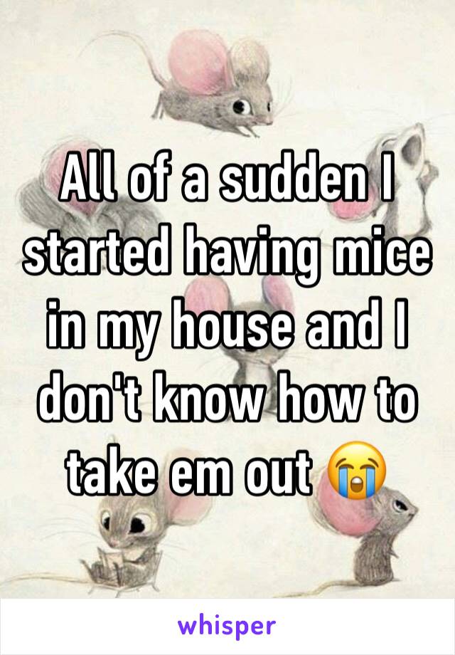All of a sudden I started having mice in my house and I don't know how to take em out 😭
