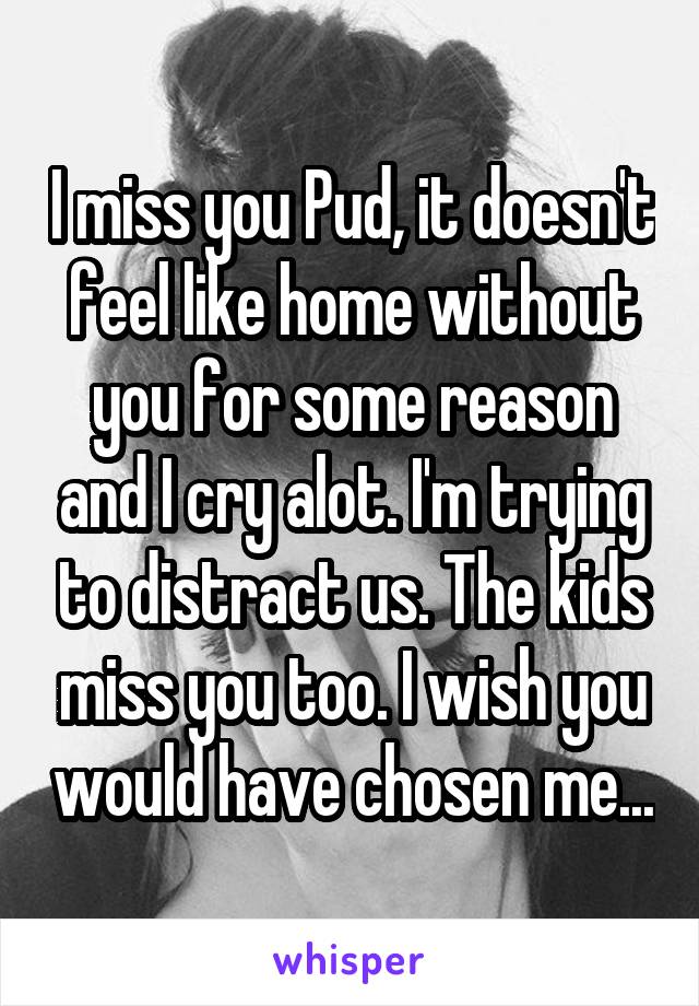 I miss you Pud, it doesn't feel like home without you for some reason and I cry alot. I'm trying to distract us. The kids miss you too. I wish you would have chosen me...