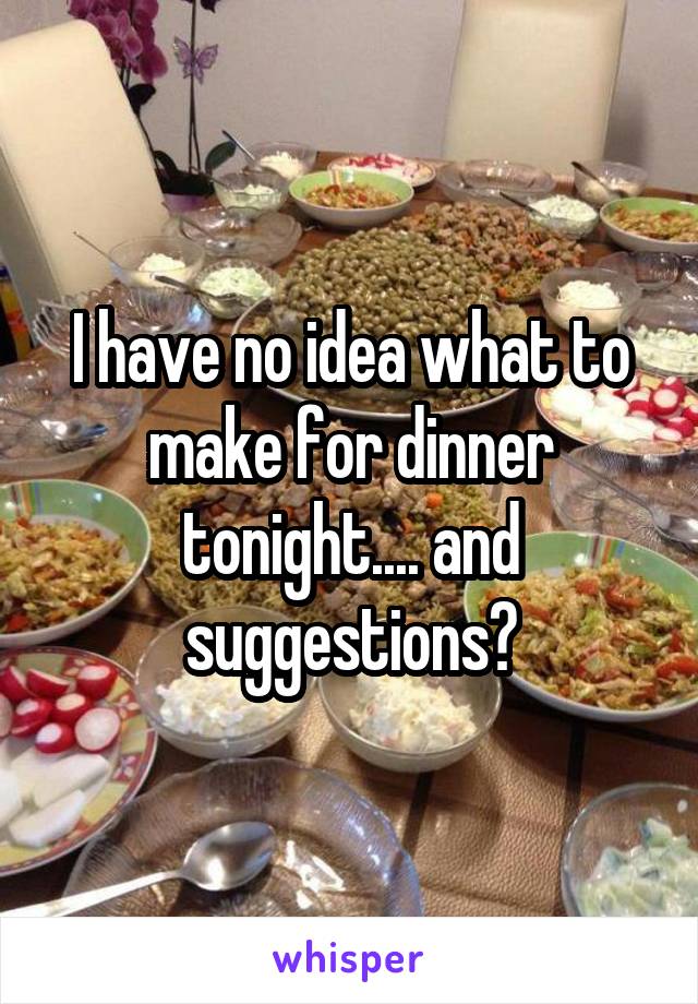 I have no idea what to make for dinner tonight.... and suggestions?