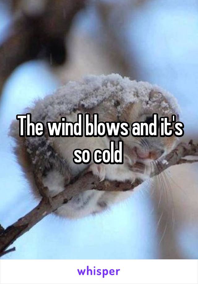 The wind blows and it's so cold 