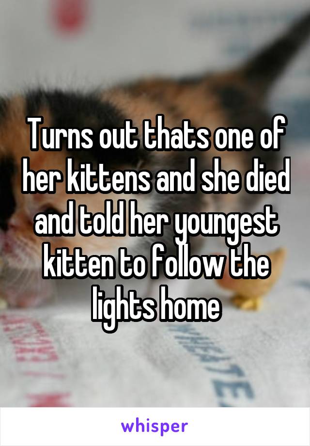 Turns out thats one of her kittens and she died and told her youngest kitten to follow the lights home