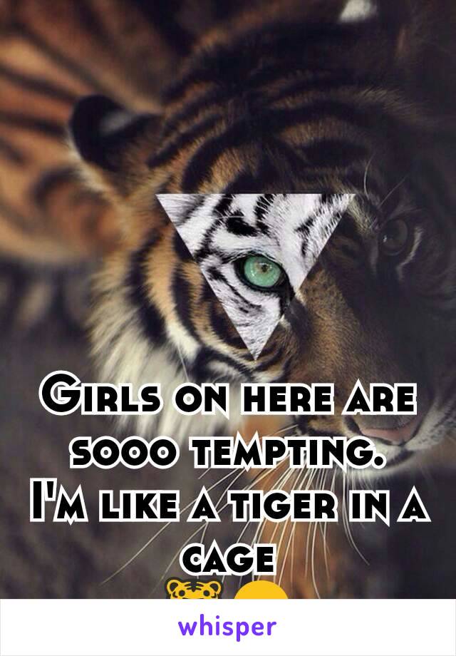 Girls on here are sooo tempting.
I'm like a tiger in a cage
🐯😏