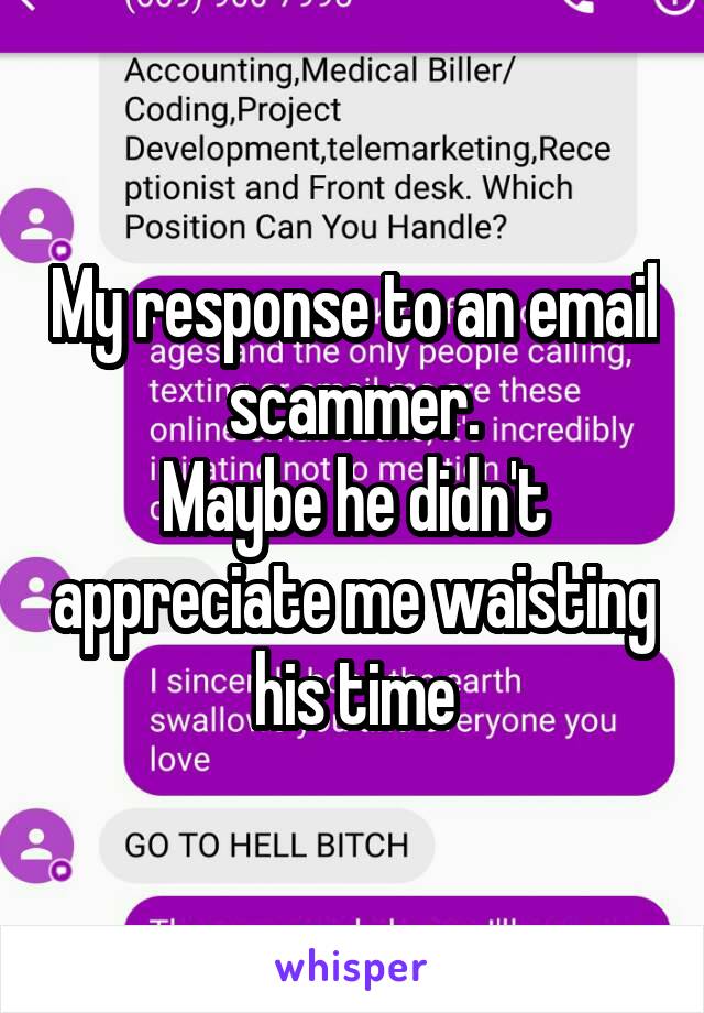 My response to an email scammer.
Maybe he didn't appreciate me waisting his time