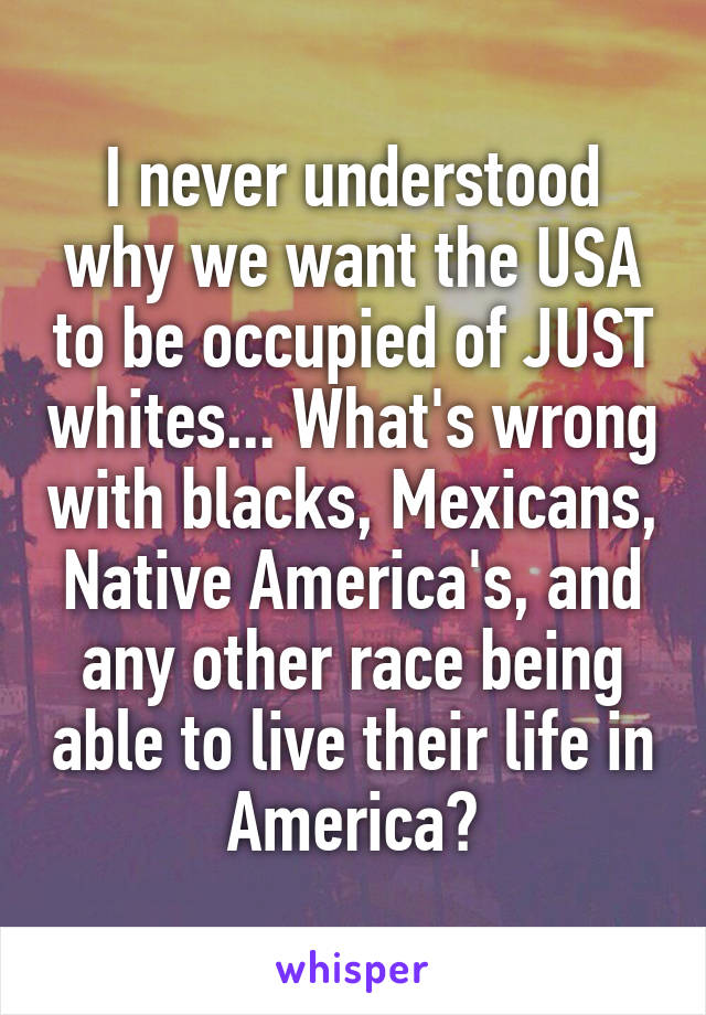 I never understood why we want the USA to be occupied of JUST whites... What's wrong with blacks, Mexicans, Native America's, and any other race being able to live their life in America?