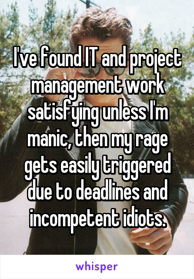 I've found IT and project management work satisfying unless I'm manic, then my rage gets easily triggered due to deadlines and incompetent idiots.