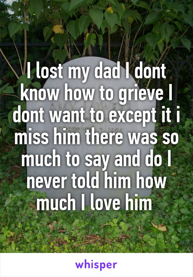 I lost my dad I dont know how to grieve I dont want to except it i miss him there was so much to say and do I never told him how much I love him 