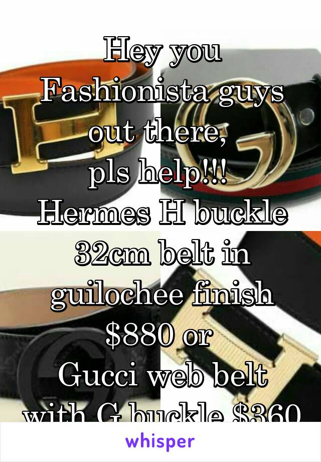 Hey you Fashionista guys out there, 
pls help!!! 
Hermes H buckle 32cm belt in guilochee finish $880 or 
Gucci web belt with G buckle $360
